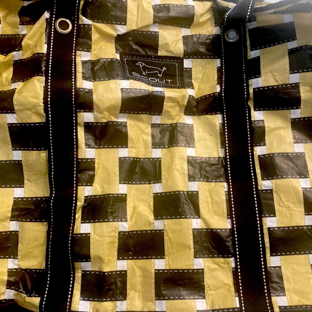 Scout Bag four boys…